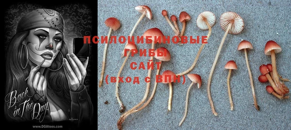 гашишное масло Верея