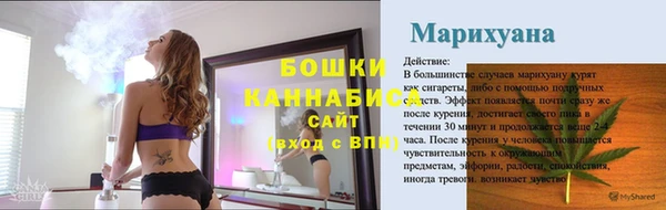 мдпв Верхний Тагил