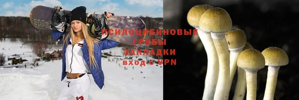 мдпв Верхний Тагил