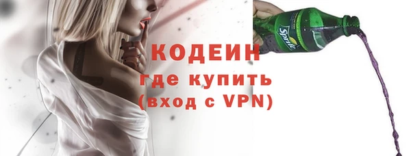 мдпв Верхний Тагил