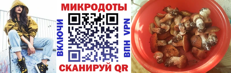 Псилоцибиновые грибы Cubensis Старица